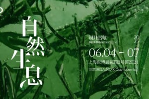 自然生息 设计永续 百年奢品家电ASKO即将亮相“设计上海”2025